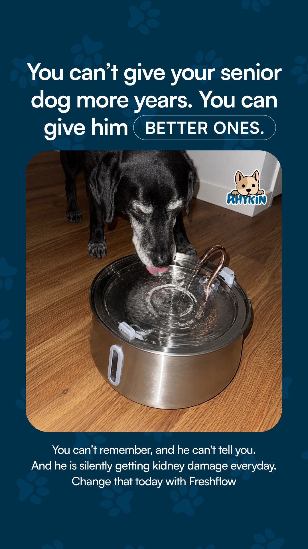 Rhykin Pet Co Facebook ad