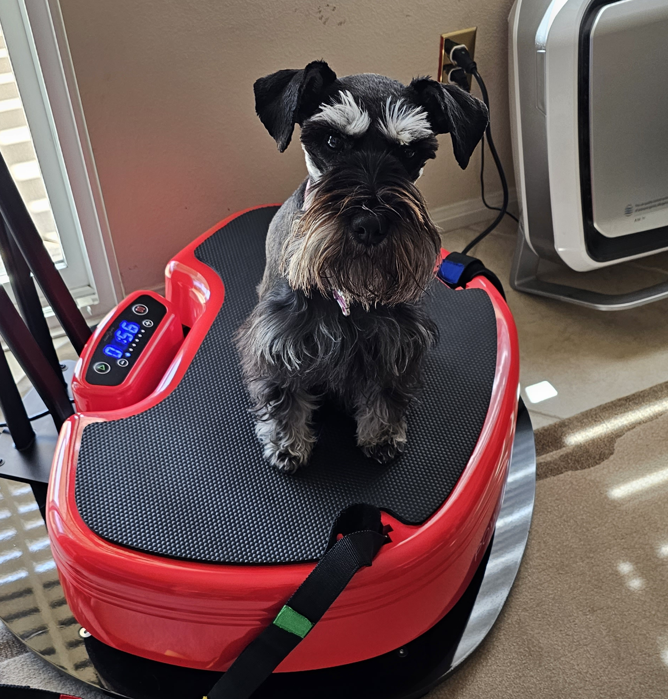 Power Plate Beauty & Wellness Facebook ad