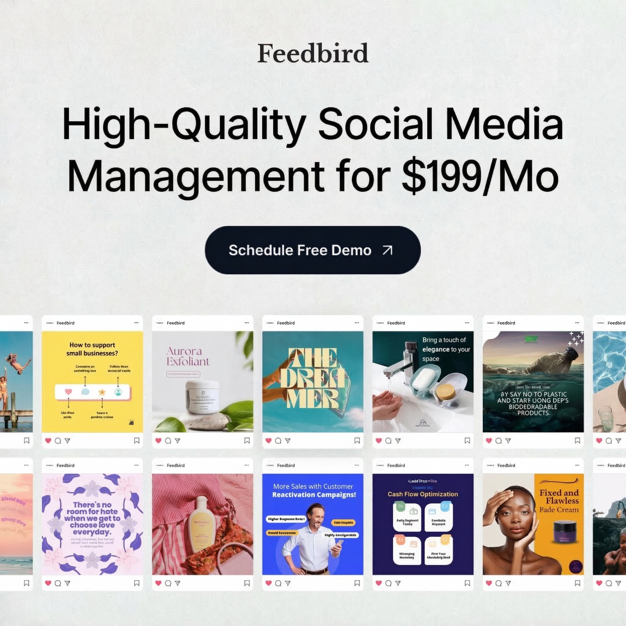 Feedbird Facebook ad