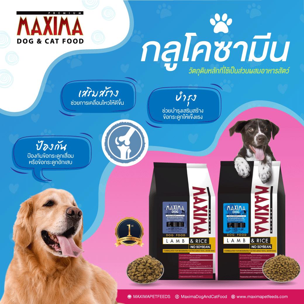 MAXIMA DOG & CAT FOOD Facebook ad: กลูโคซามีน เพื่อสุขภาพของข้อต่อ ทำให้กระดูกมีความยืดหยุ่น…
