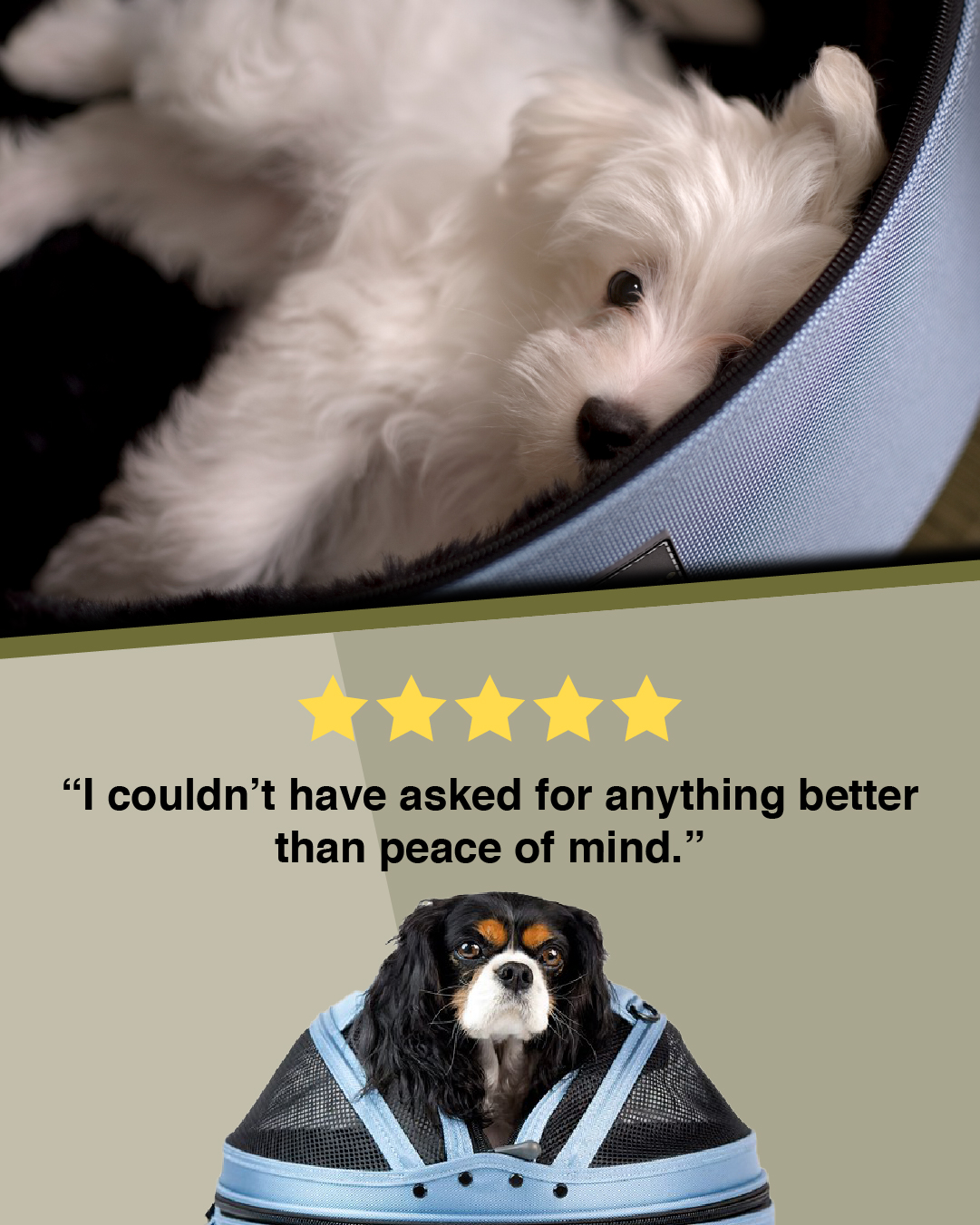 Sleepypod Facebook ad