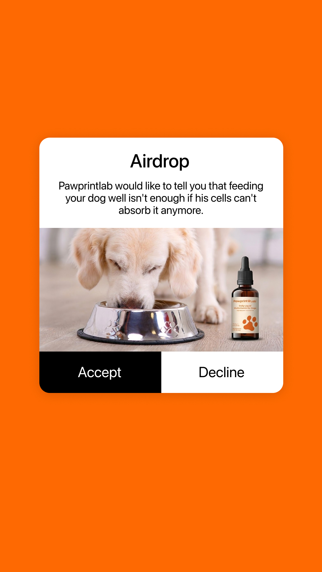 Pawprint Lab Facebook ad from Mar 7, 2026