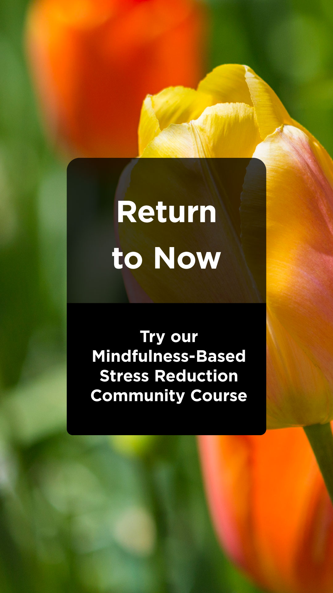 University of Minnesota Earl E. Bakken Center for Spirituality & Healing Facebook ad