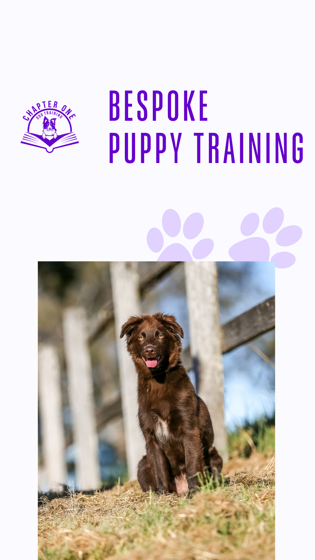 Chapter One Dog Training Facebook ad