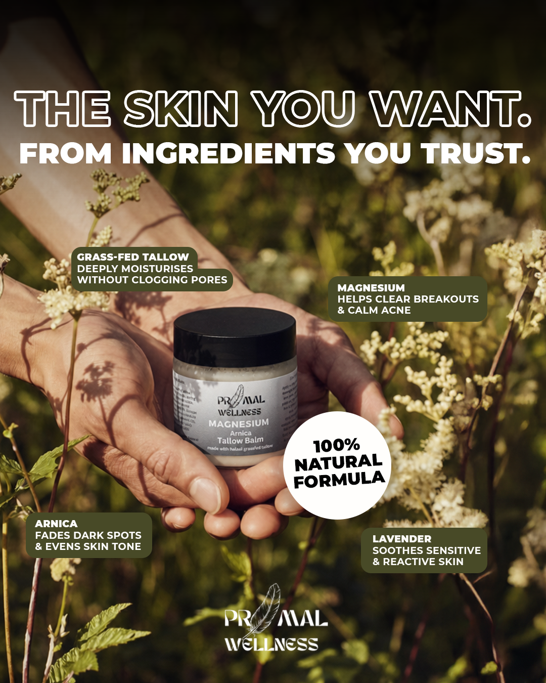Primal Wellness Facebook ad: Clear skin. Four ingredients.