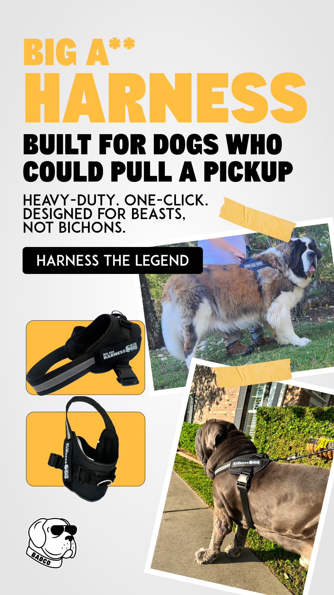 BADCO Facebook ad