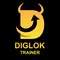 Diglok Trainers