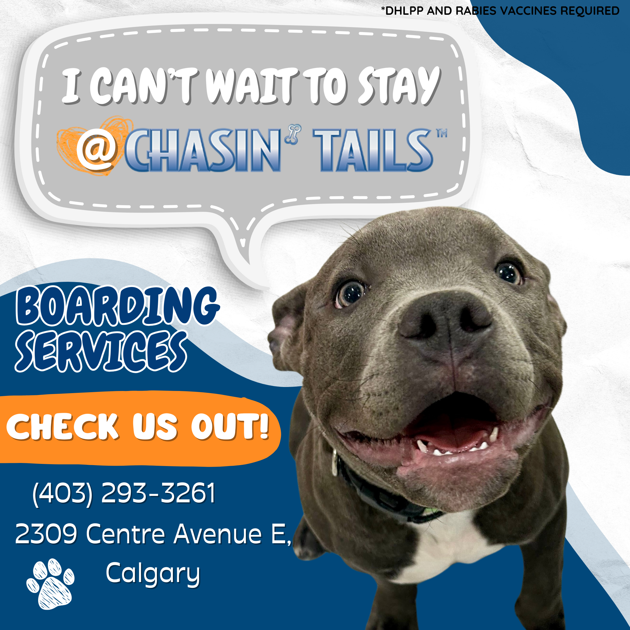 Chasin' Tails Dog Care Center Facebook ad: Chasin' Tails: The Safer Boarding Choice!