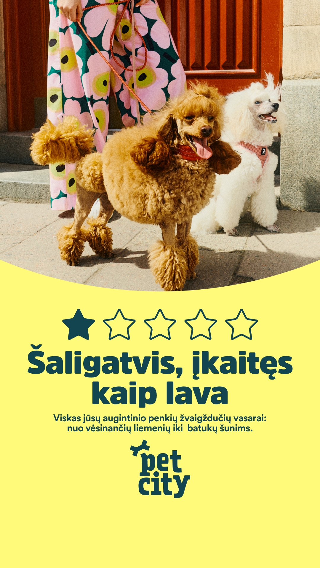 PetCity Lietuva Facebook ad