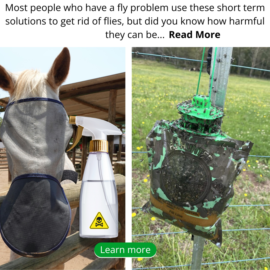 The Ranch Facebook ad
