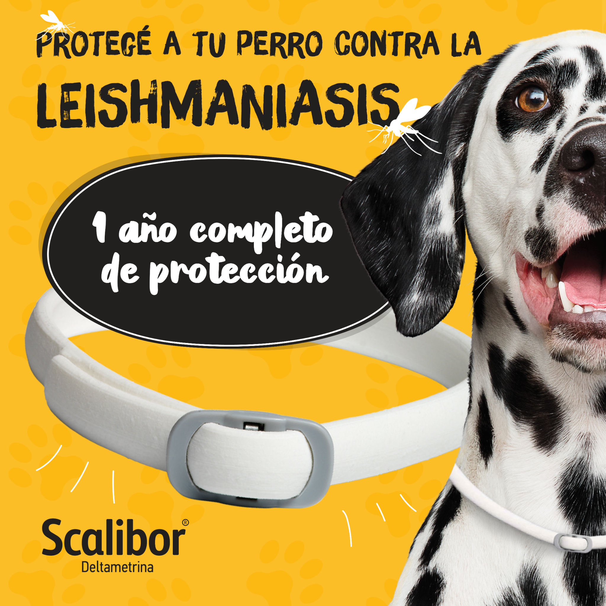 Mascotas Sanas y Divertidas Facebook ad