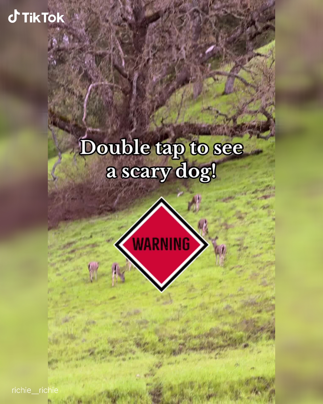 TikTok - US Facebook ad