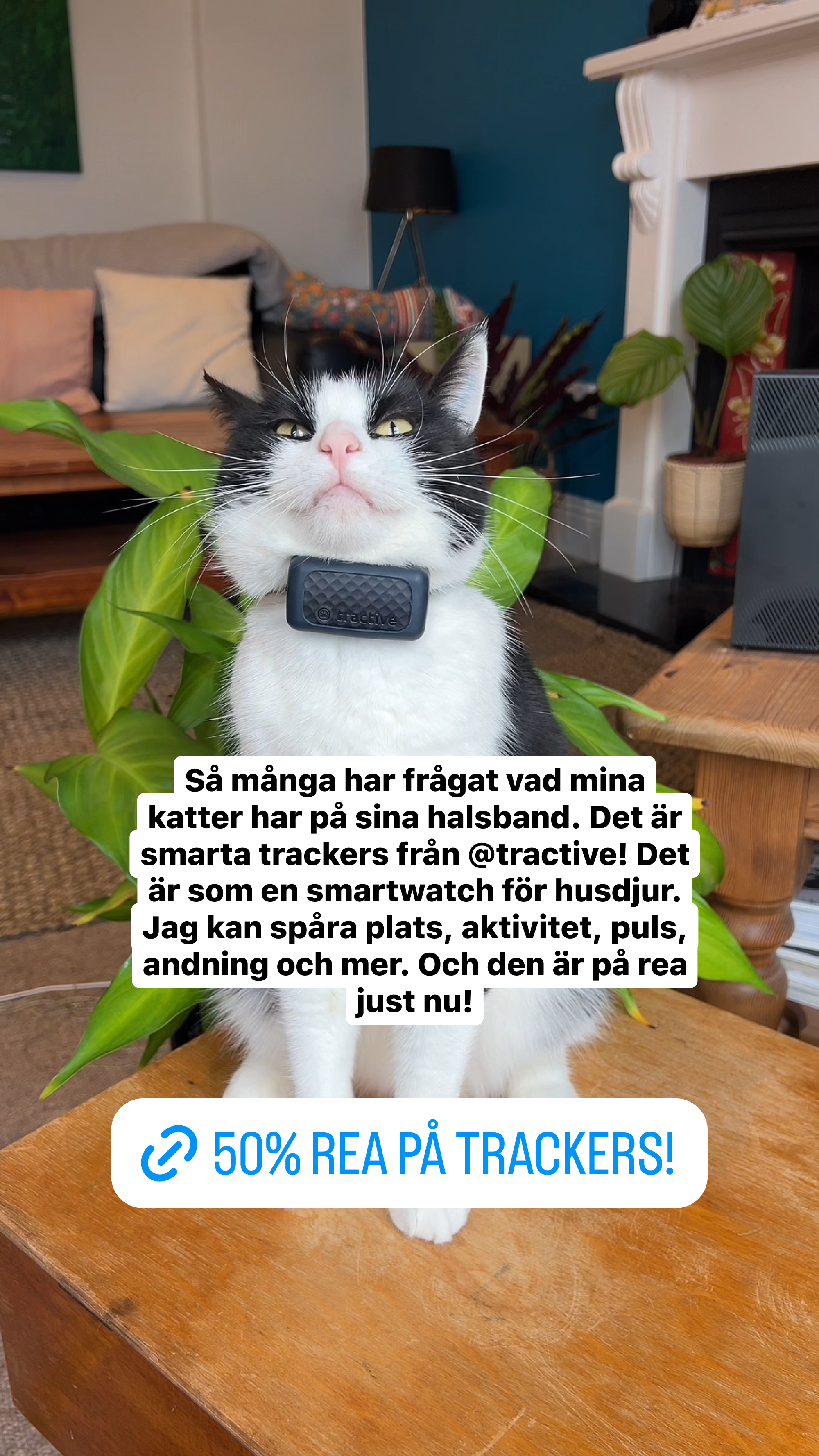 Tractive Facebook ad