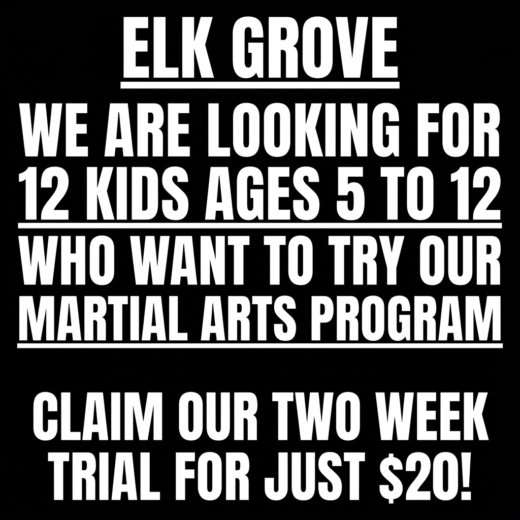 Elk Grove Academy - Family Taekwondo Facebook ad
