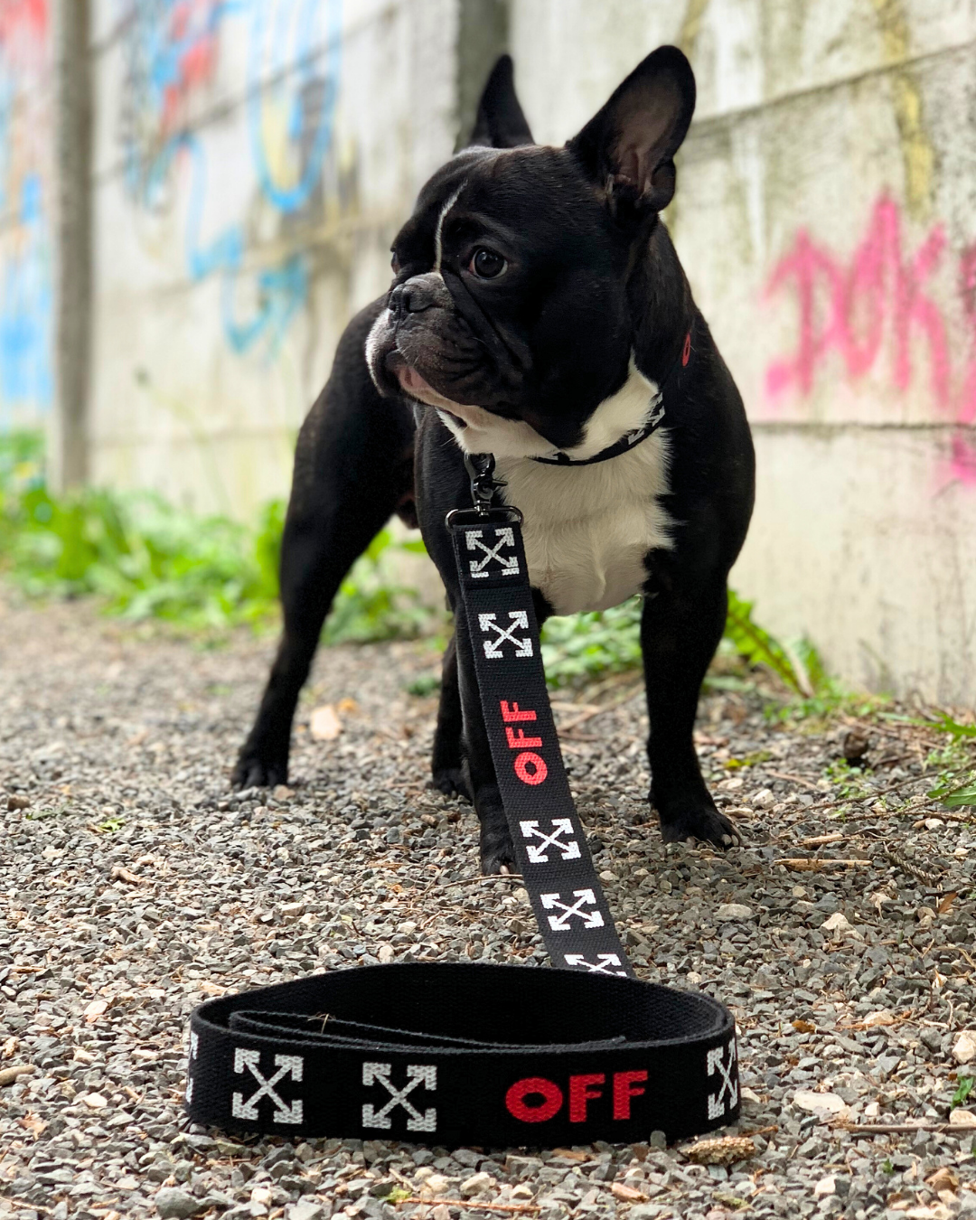 Supreme Dog Garage Facebook ad