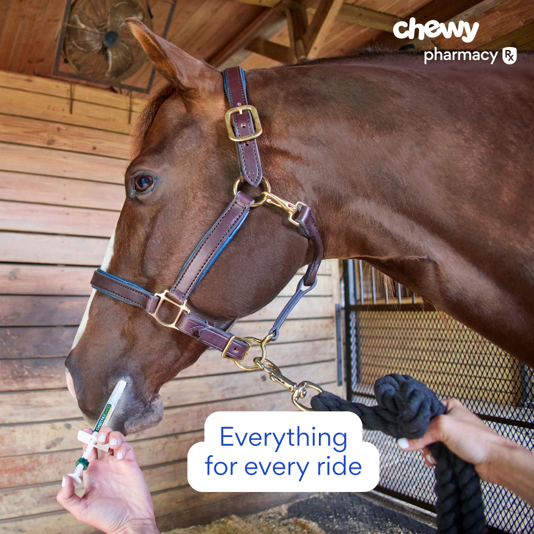Chewy Facebook ad