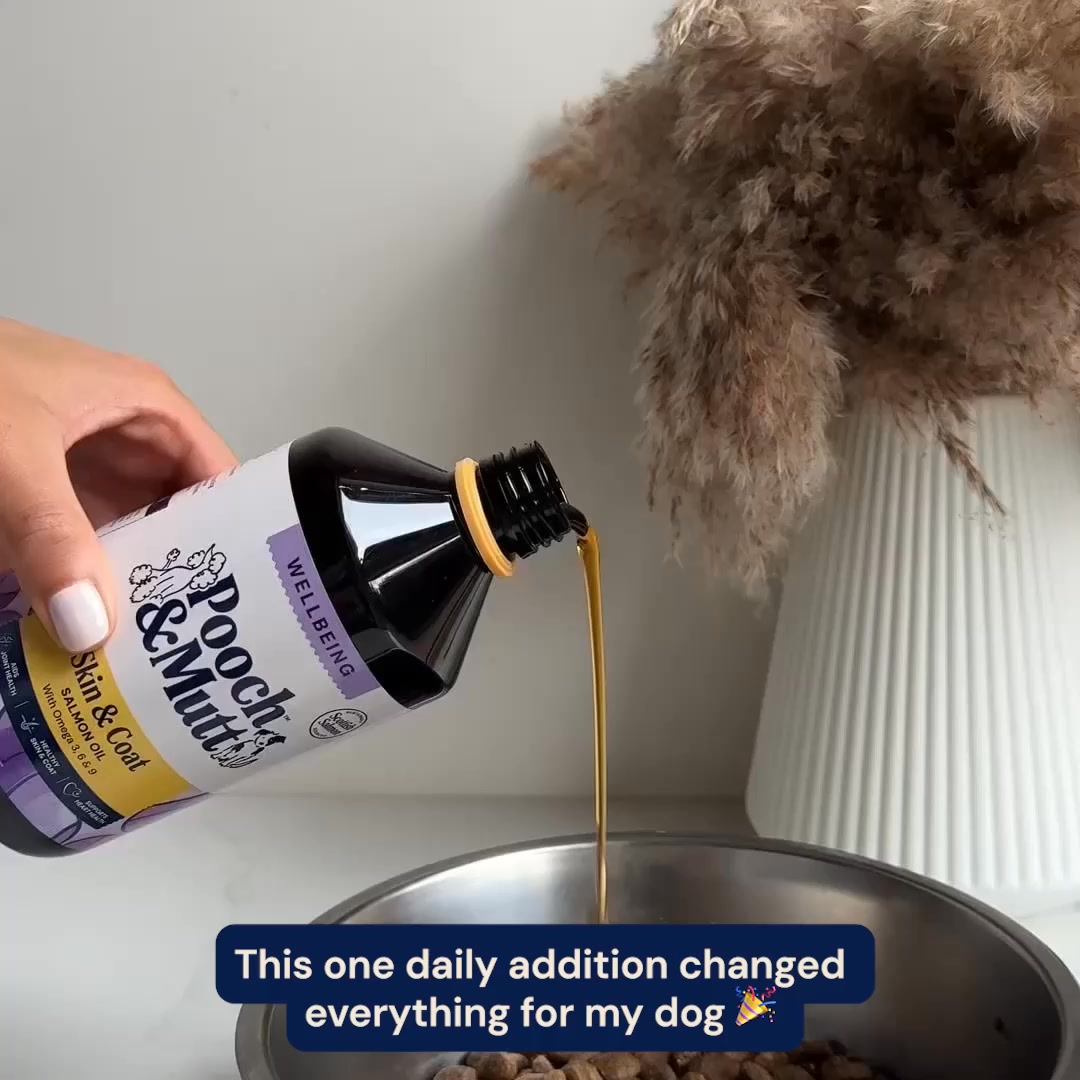 Pooch & Mutt Facebook ad: Salmon Oil for Dogs
