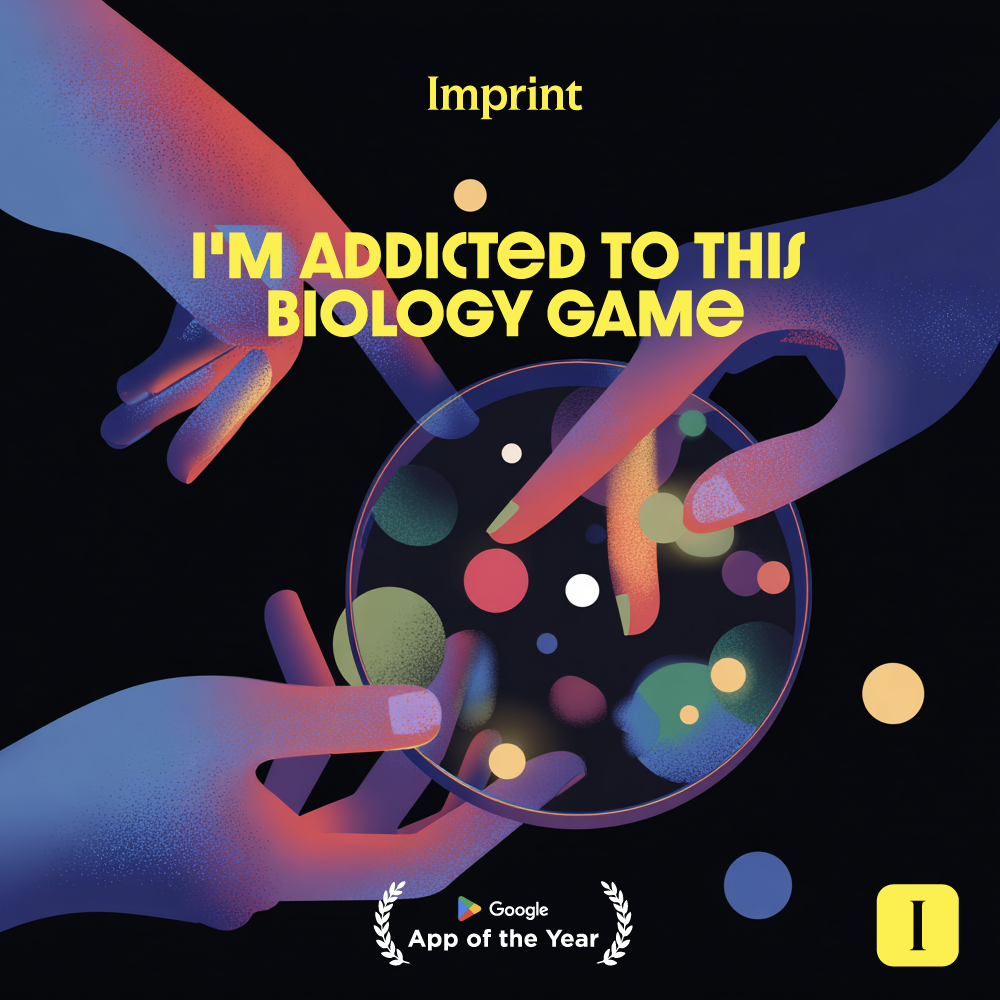 Imprint: Learn Visually Facebook ad