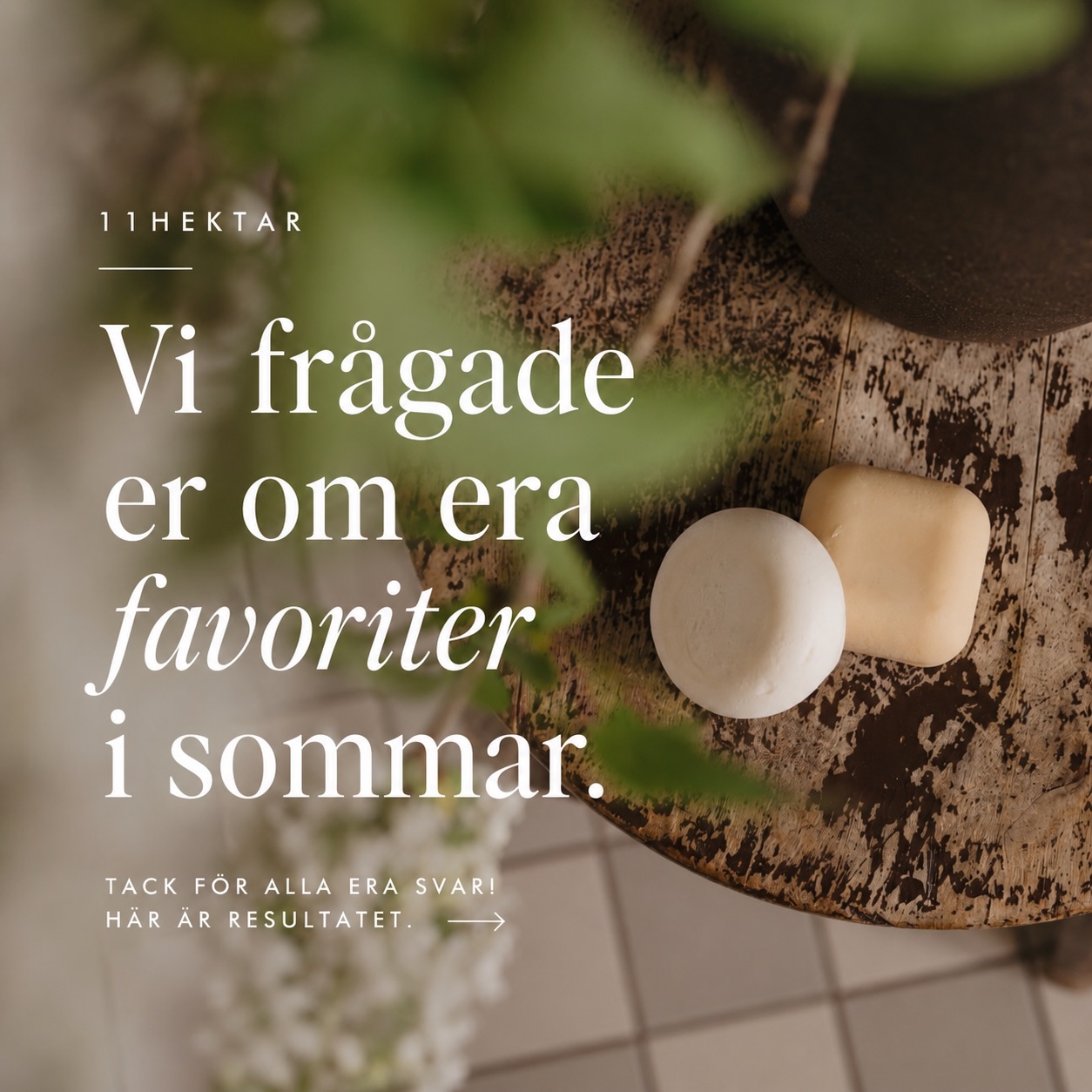 11hektar Facebook ad