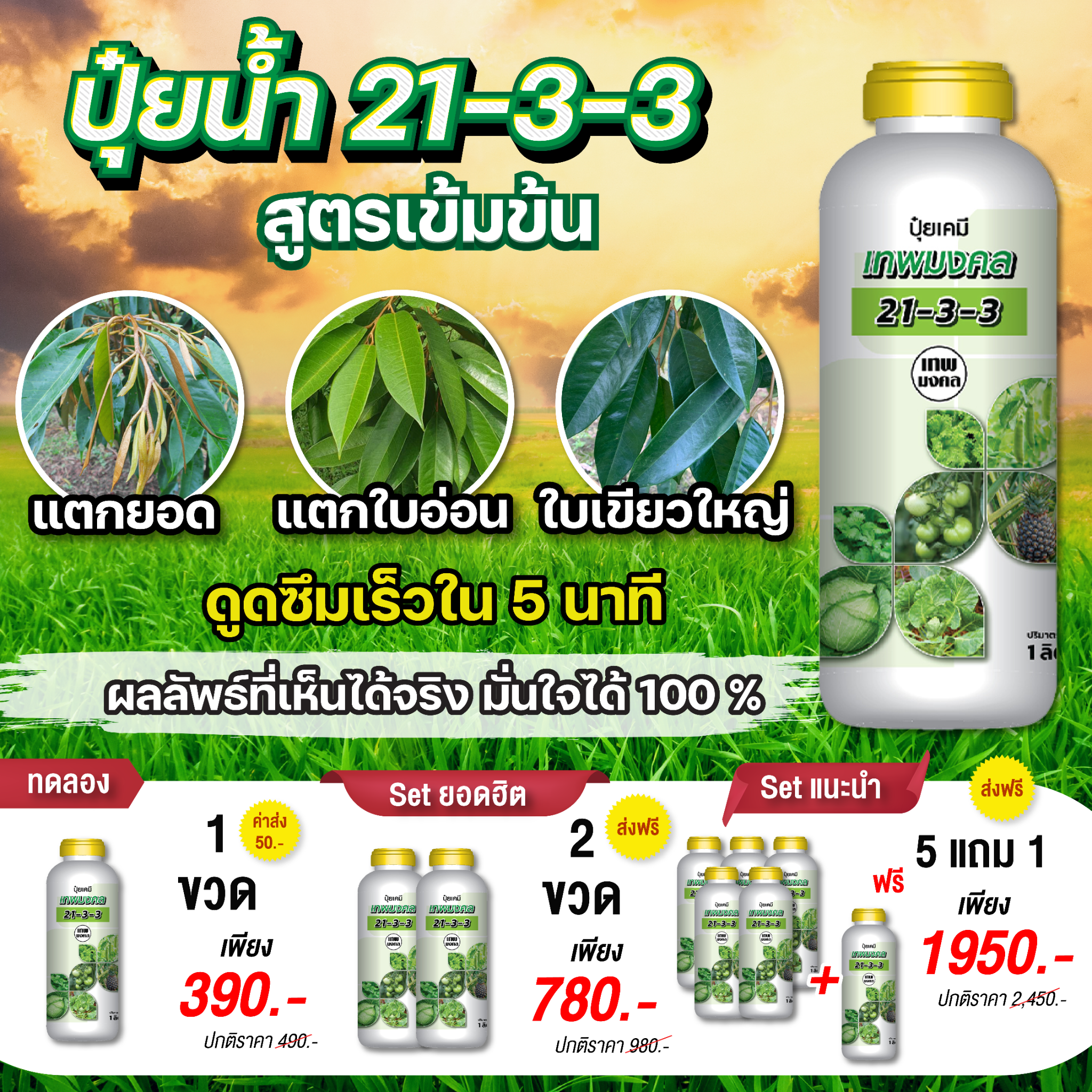 น้องปุ๋ยน้ำ ตราเทพมงคล Facebook ad