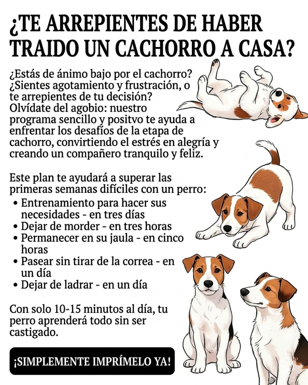 Jake Collins Facebook ad: Adiestra a tu cachorro con la aplicación n.° 1