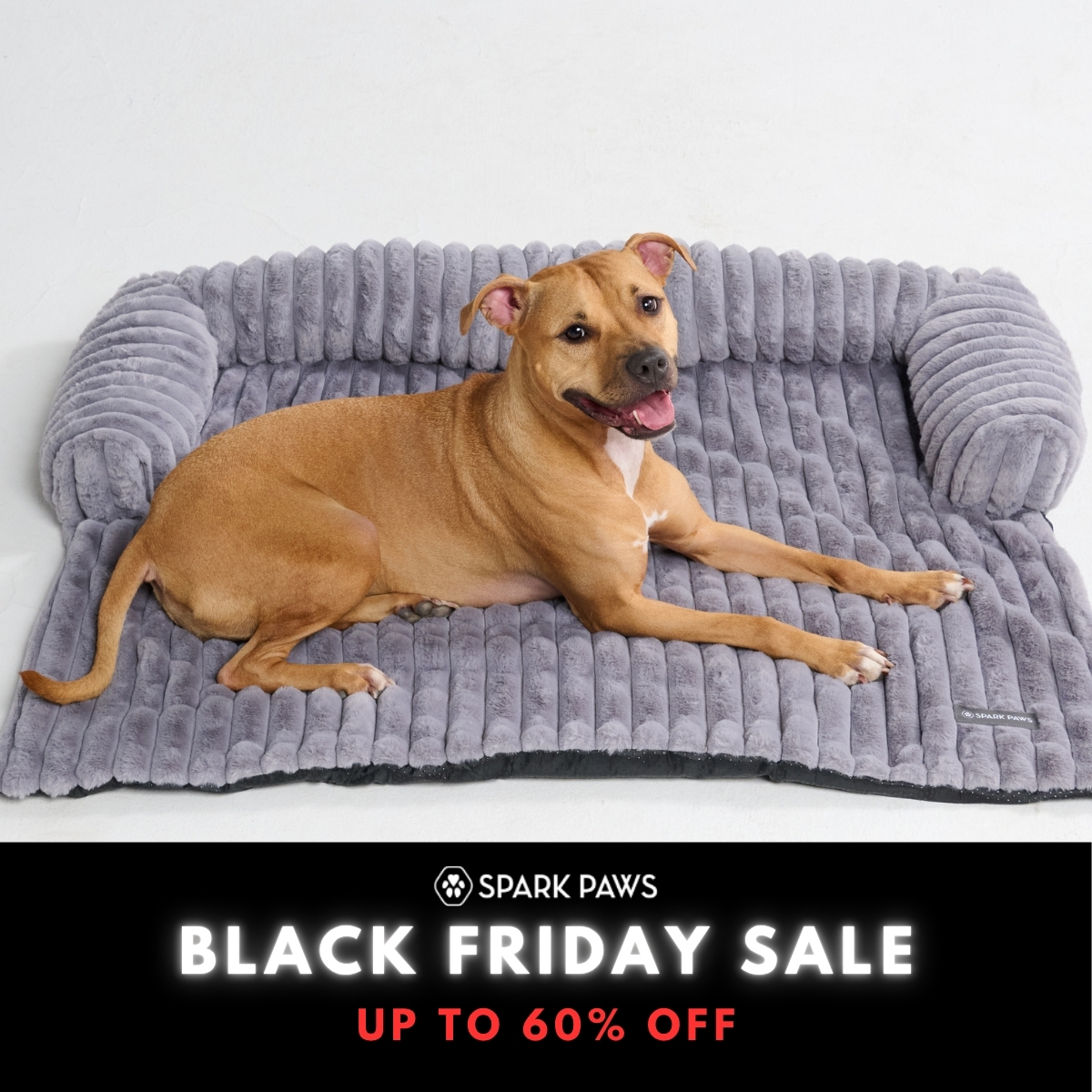 Spark Paws Facebook ad