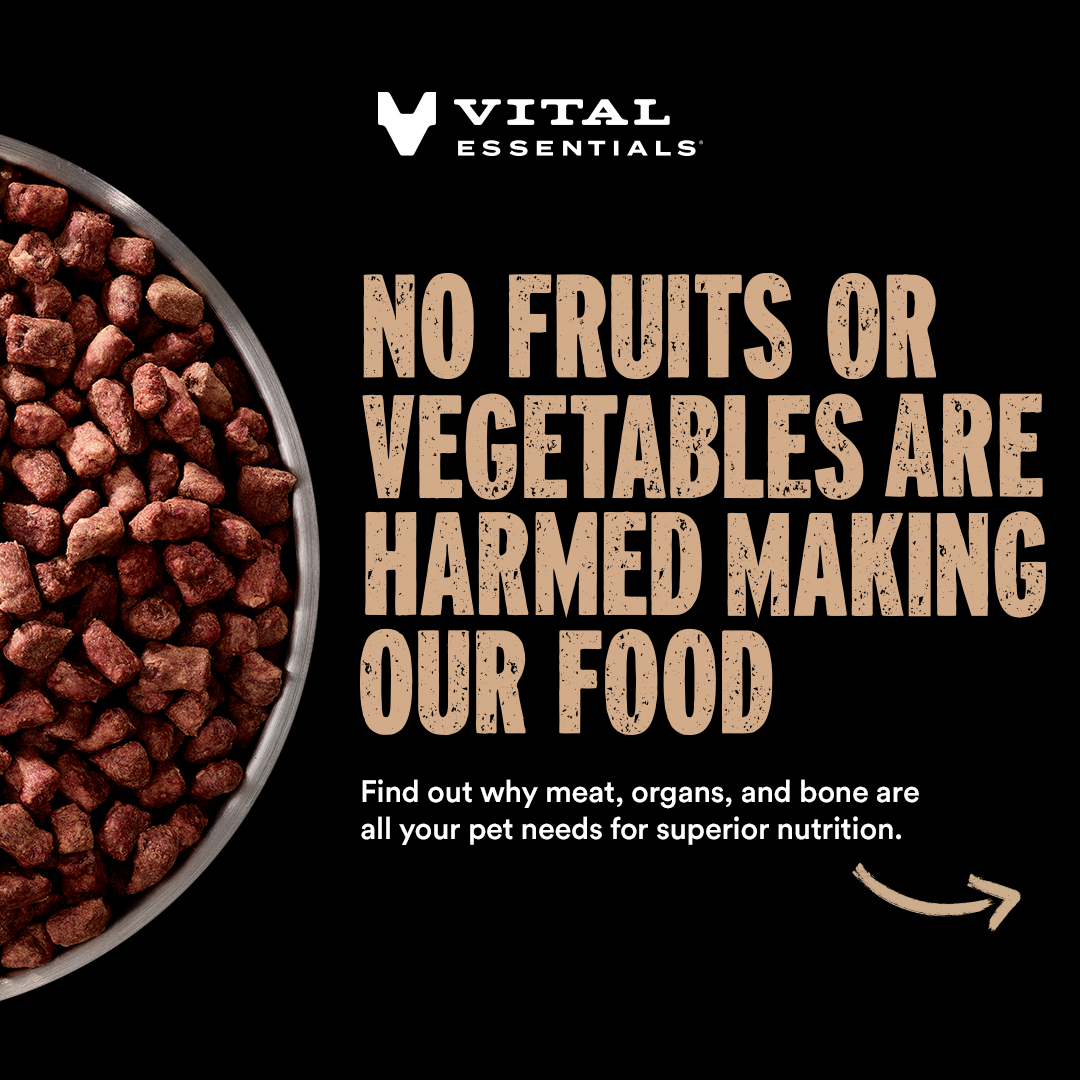 Vital Essentials Facebook ad