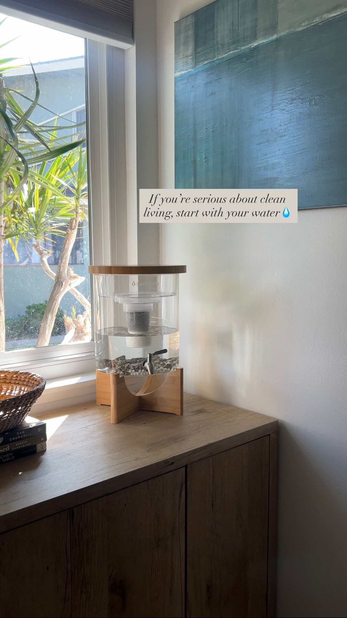 Santevia Water Systems Facebook ad