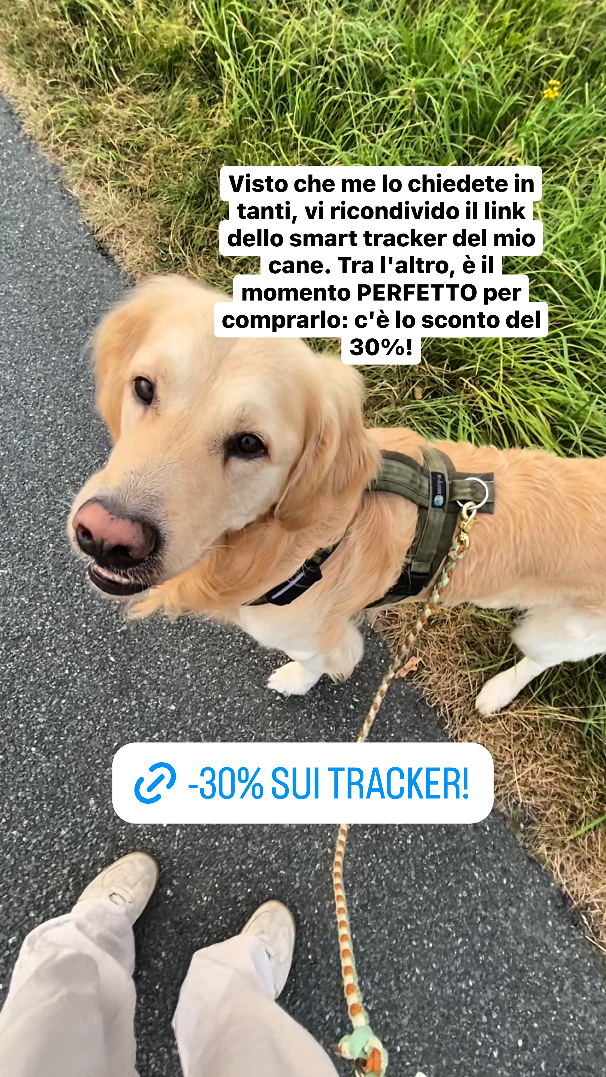 Tractive Facebook ad