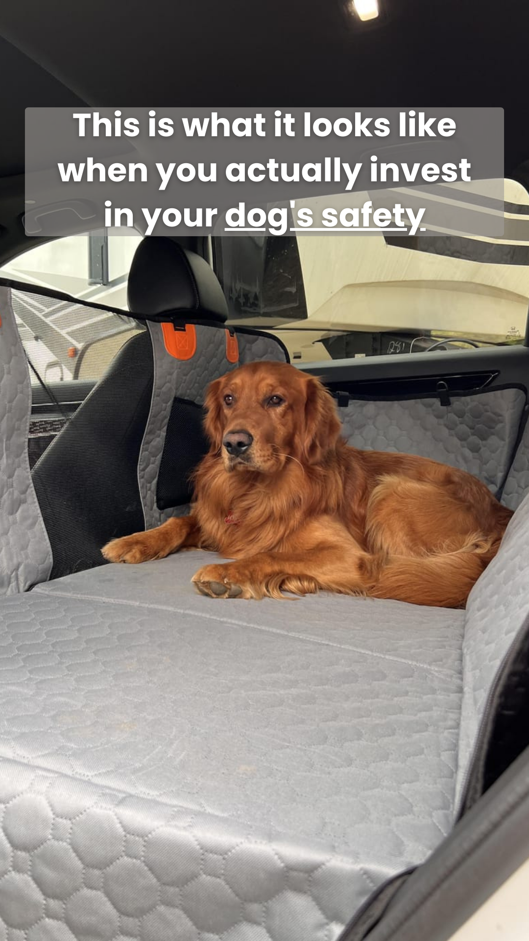 AutoPaws Facebook ad