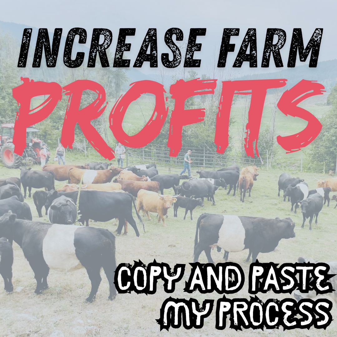 Sell Beef Direct Facebook ad