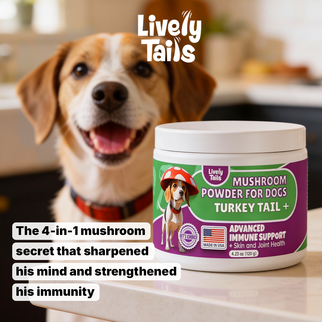 Lively Tails Facebook ad: All-Natural Mushroom Blend for Dog Health