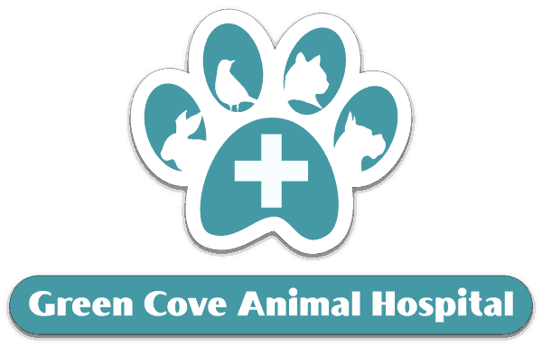 Green Cove Animal Hospital Facebook ad: Modern Medicine with Hometown Heart at Green Cove…