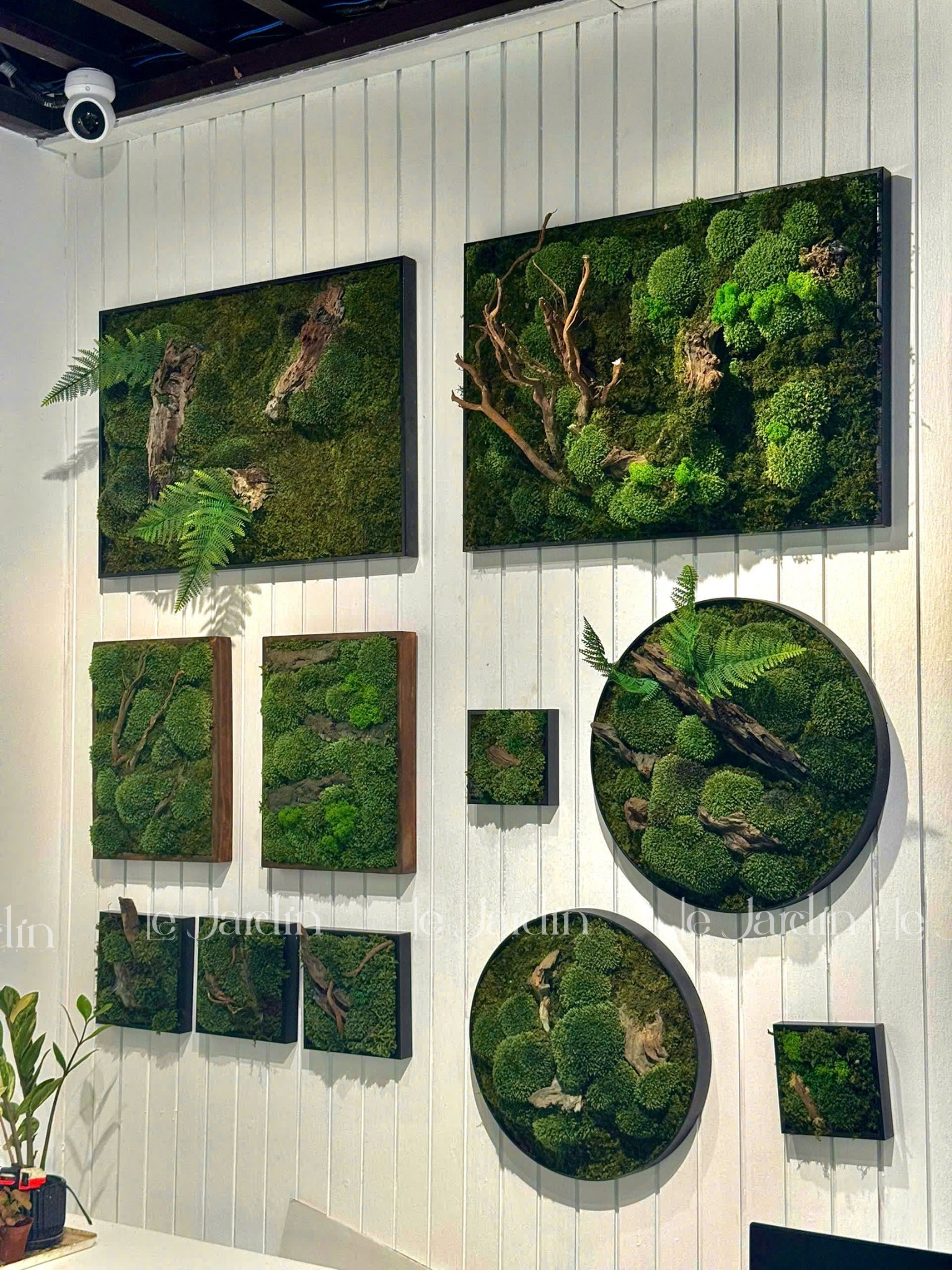Moss Art Le Jardin Facebook ad: Moss Art mang đến một góc xanh an…