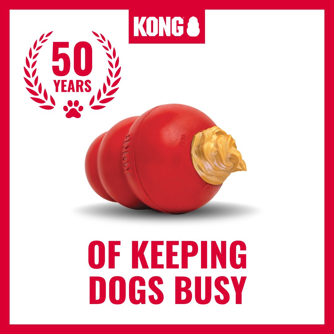 KONG Facebook ad