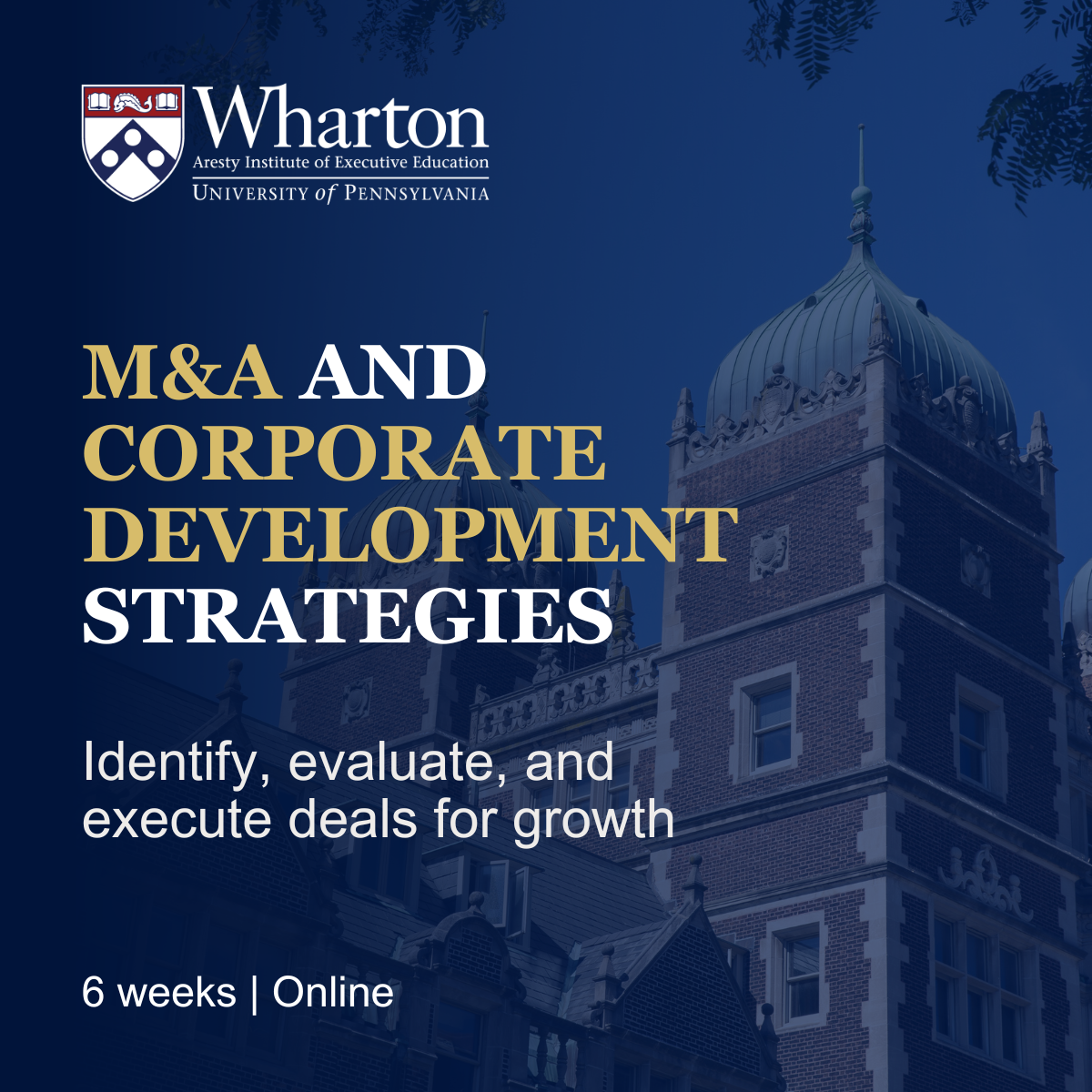 Wharton Executive Education Facebook ad