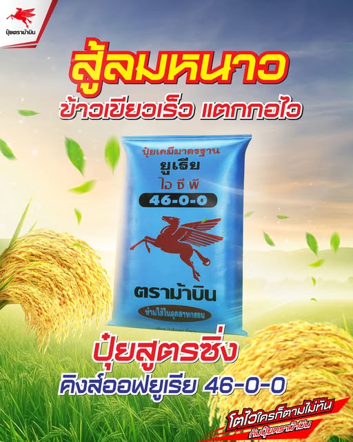 ปุ๋ยตราม้าบิน Facebook ad: ปุ๋ยตราม?