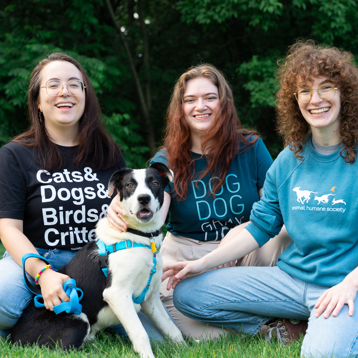 Animal Humane Society Facebook ad: Wear your heart on your sleeve