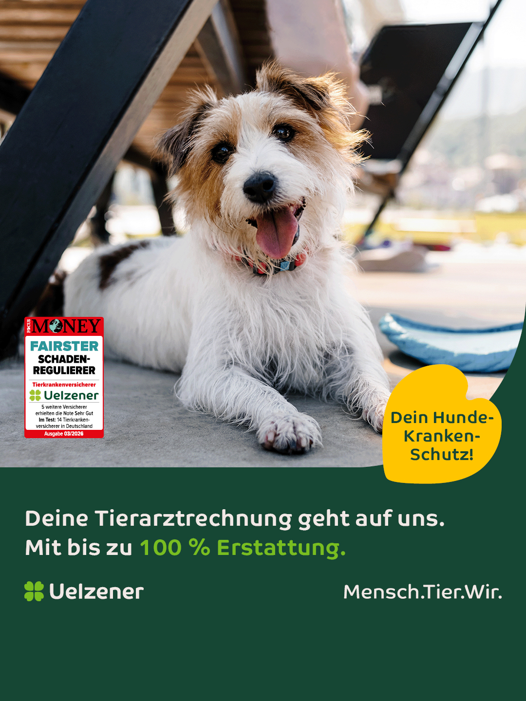 Uelzener Versicherungen Facebook ad: Schutz für Fellnasen!