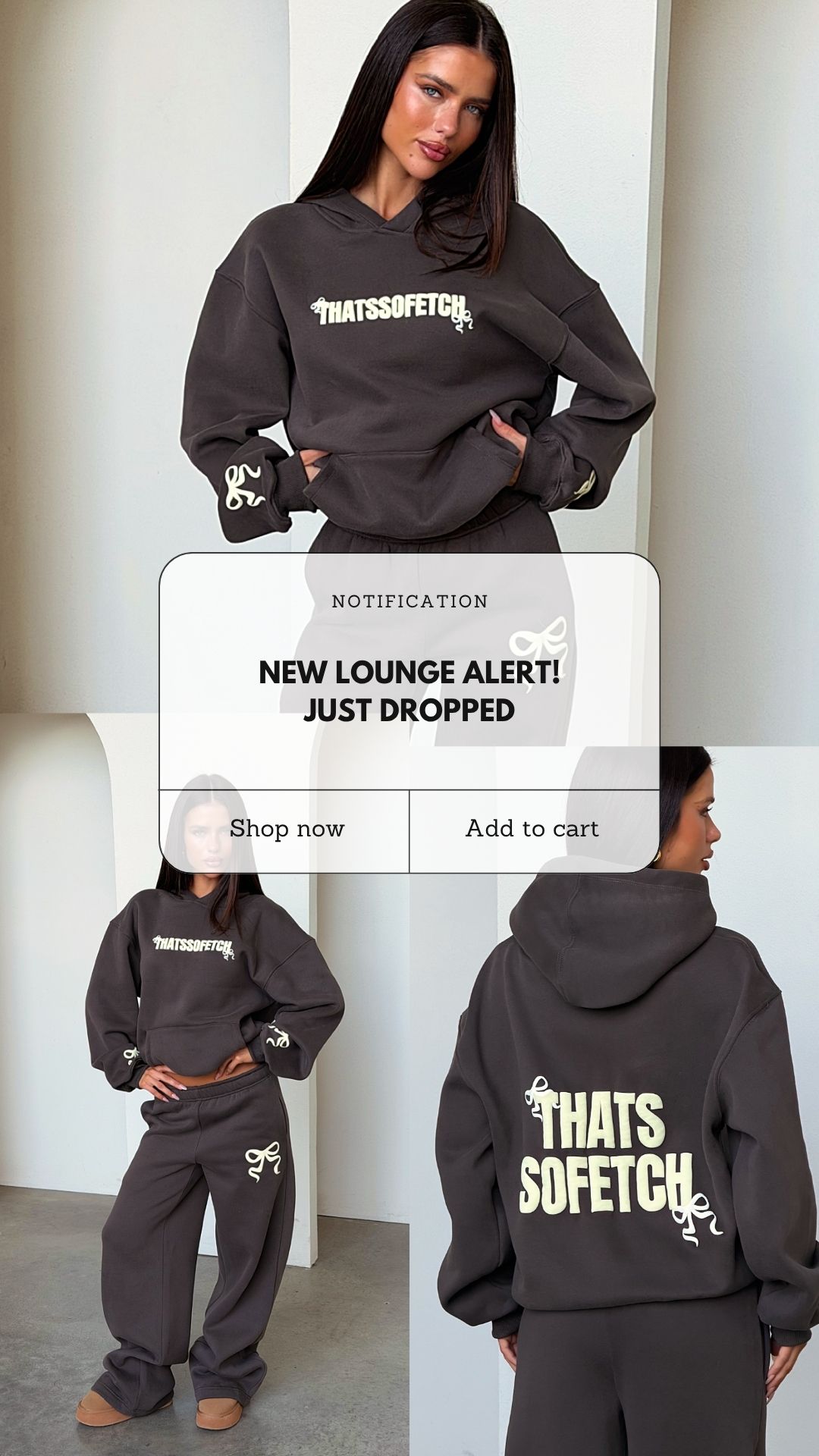 That's So Fetch Facebook ad