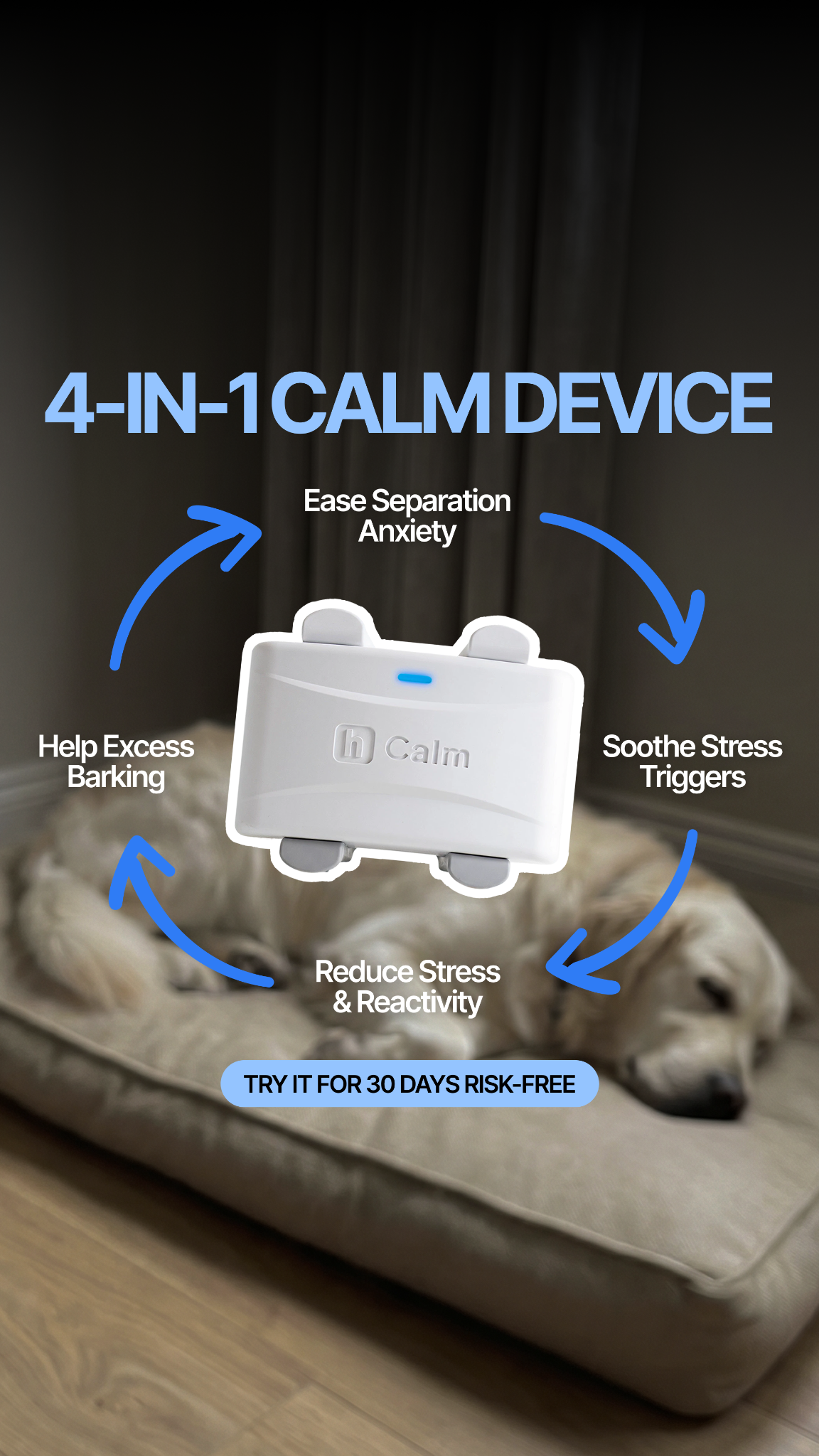 Helio Pet Facebook ad