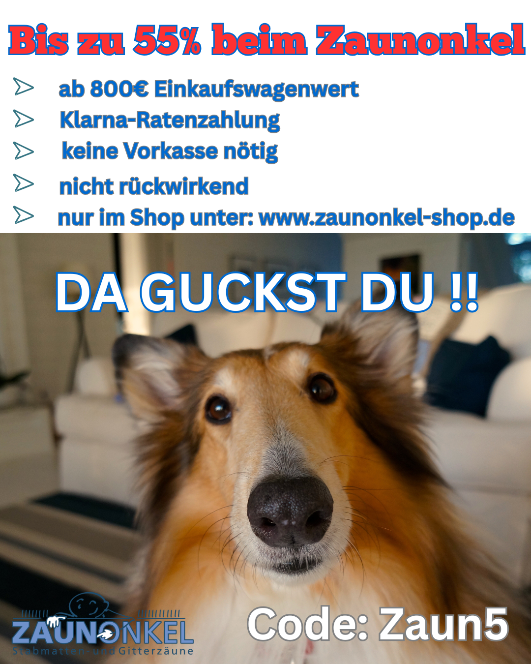 Zaunonkel-Ost Facebook ad: Zaunonkel - Stabmatten und Gitterzäune