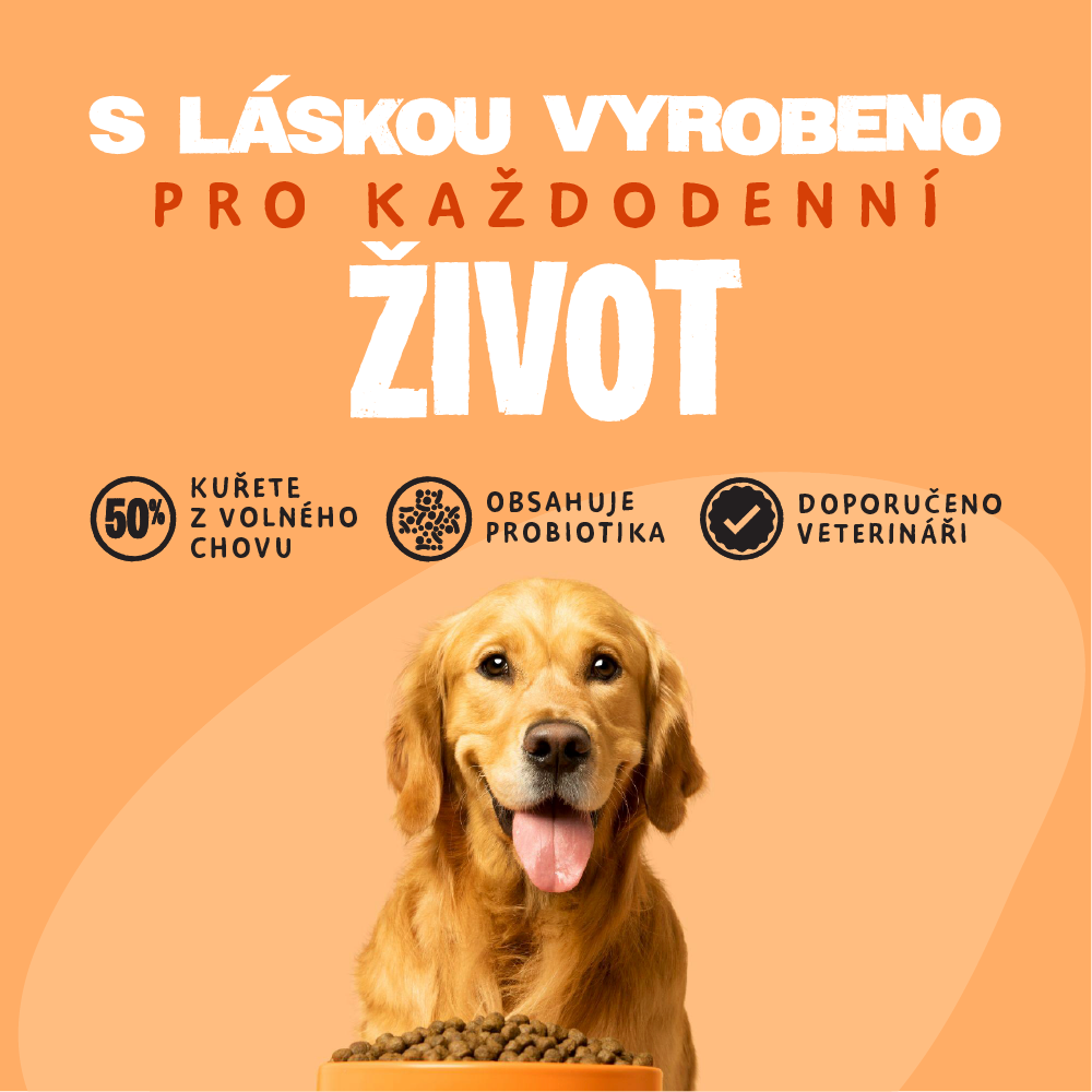 Barking a Meowing Heads CZ Facebook ad