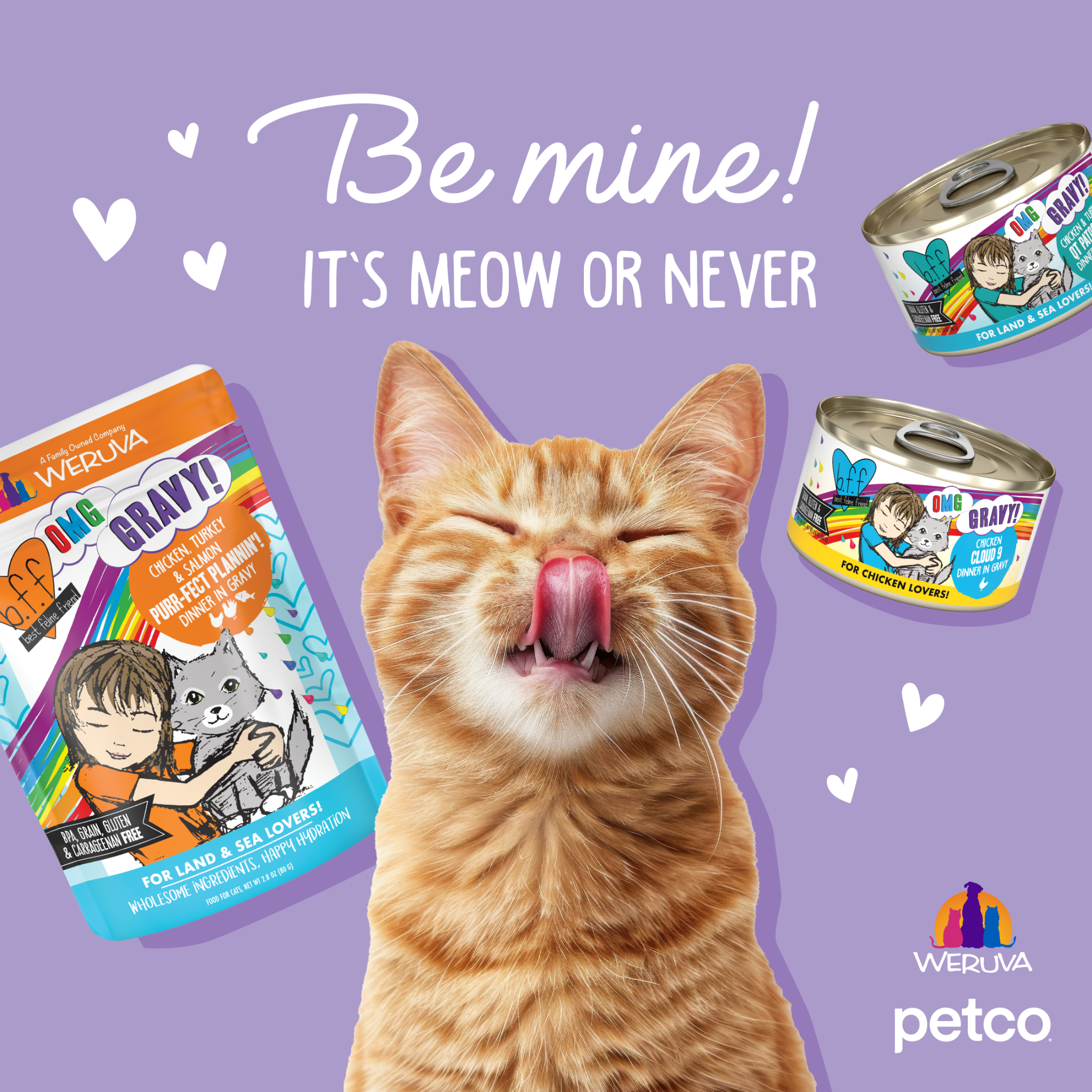 Petco Facebook ad