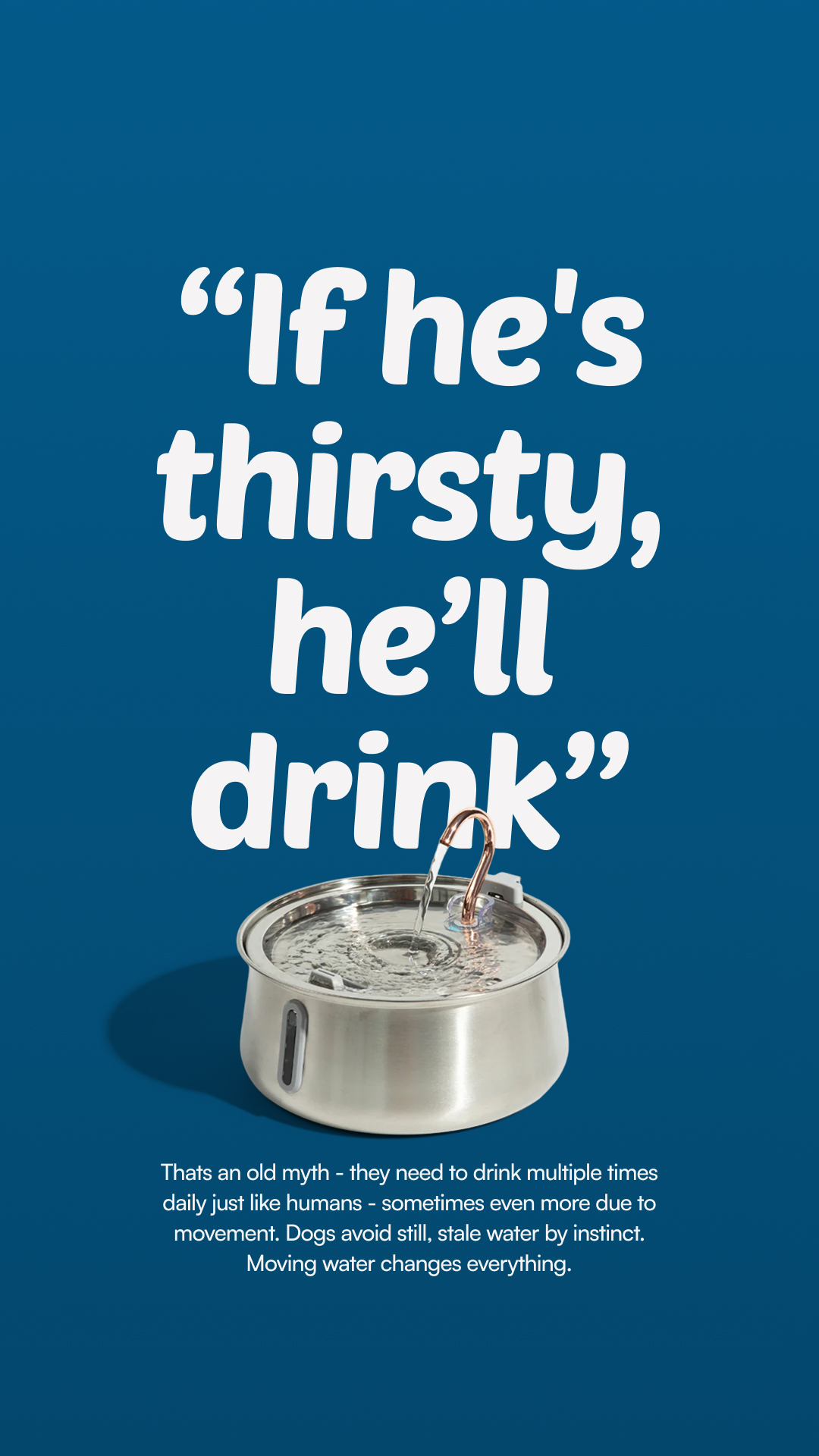 Rhykin Pet Co Facebook ad