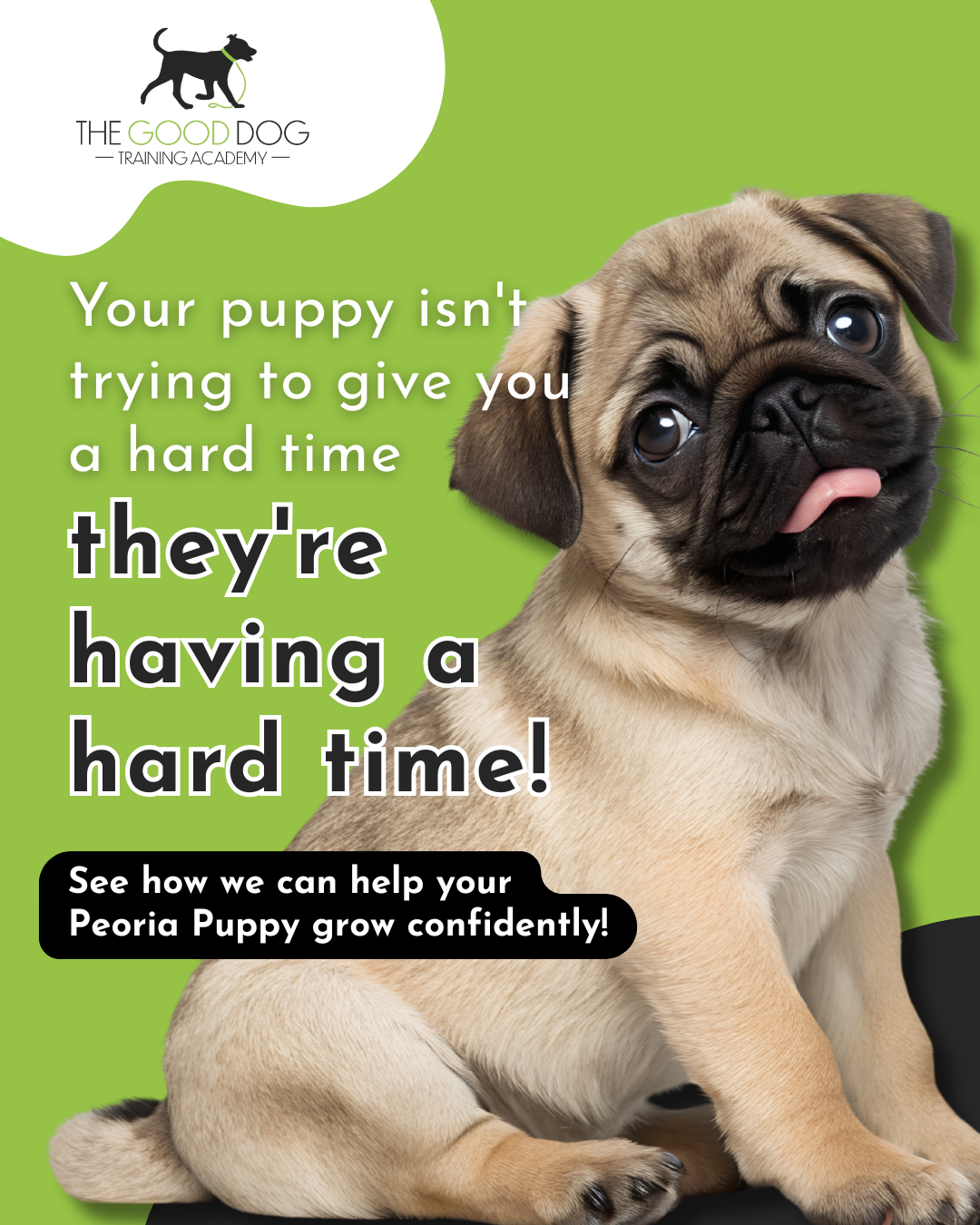 The Good Dog Training Academy Facebook ad: Peoria Puppy Training