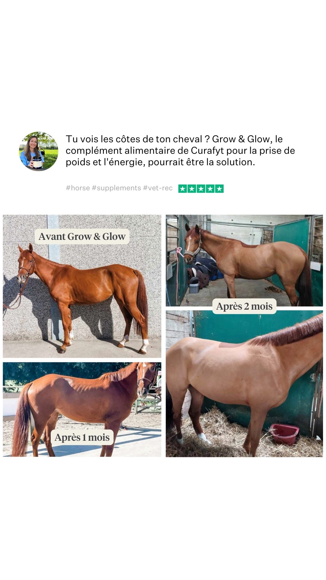 Vet Valerie Facebook ad from Aug 3, 2026