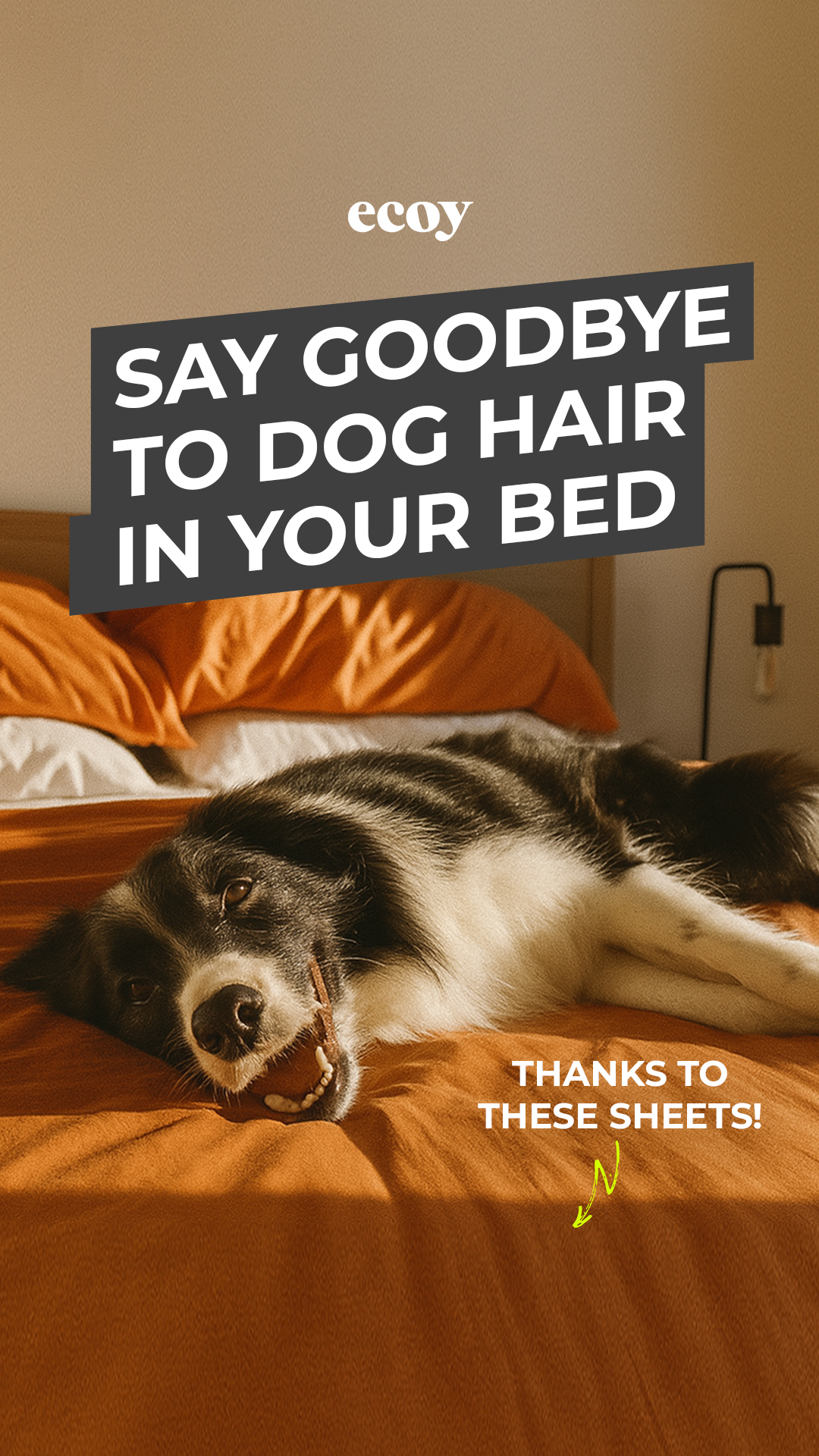 Ecoy Facebook ad