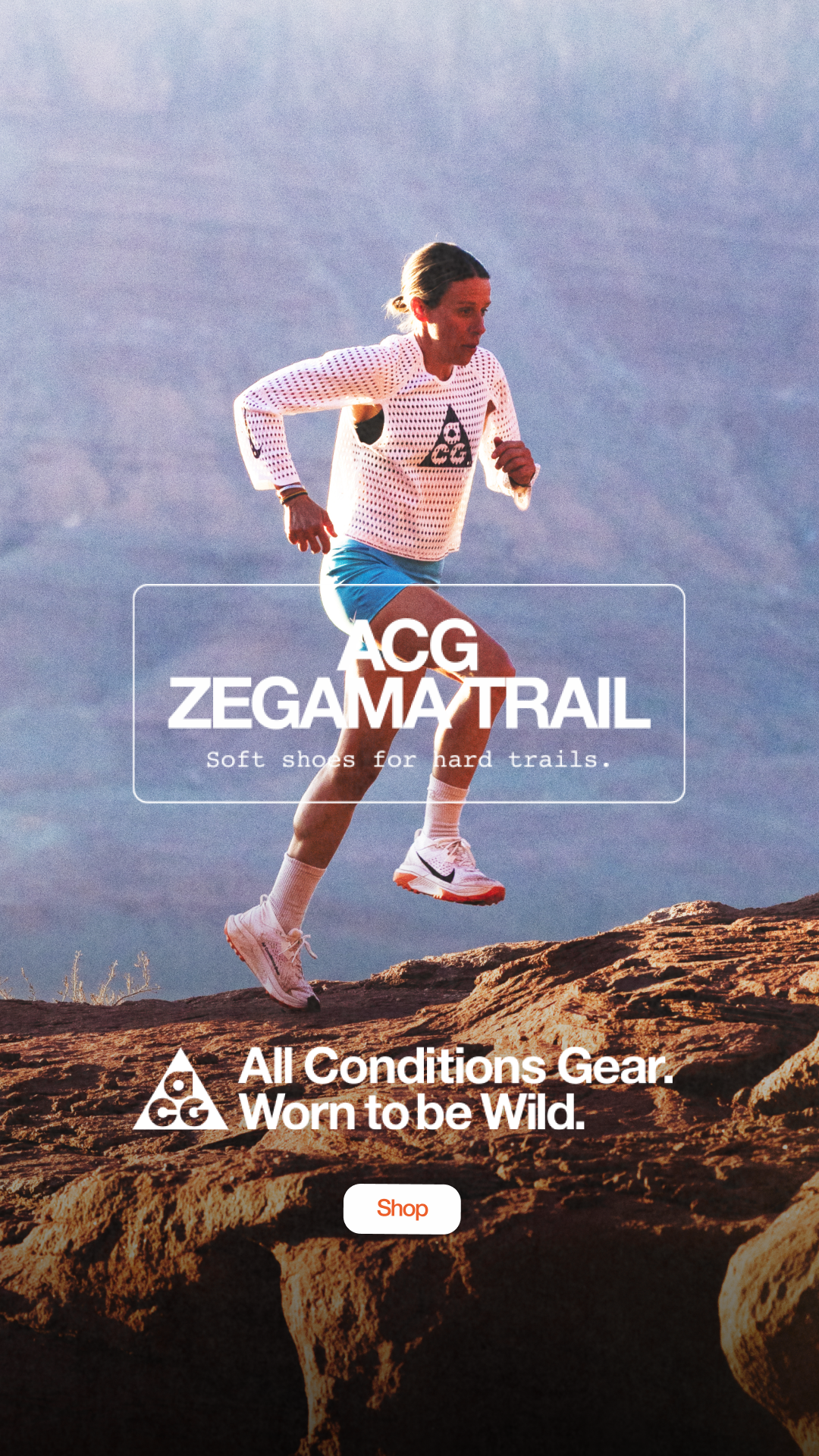 REI Facebook ad