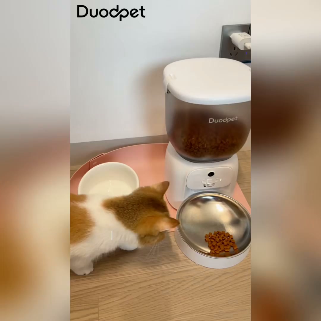 Shenzhen Duodpet Intelligent Technology Co., Ltd. Facebook ad: Looking for reliable smart pet care products for…